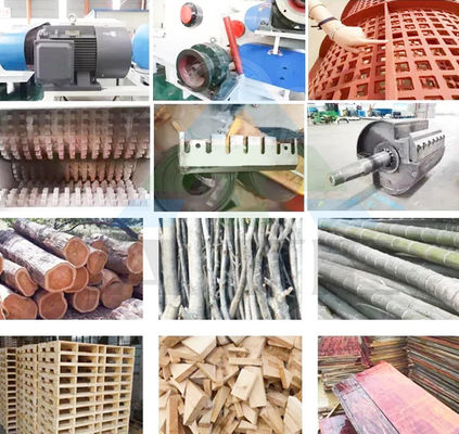 Il frantumatore a tamburo di legno avanzato produce polvere da segheria da tronchi con un tasso di raggiungimento standard superiore al 95%